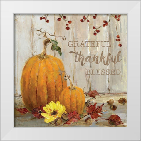 Pumpkin Patch Grateful White Modern Wood Framed Art Print by Swatland, Sally