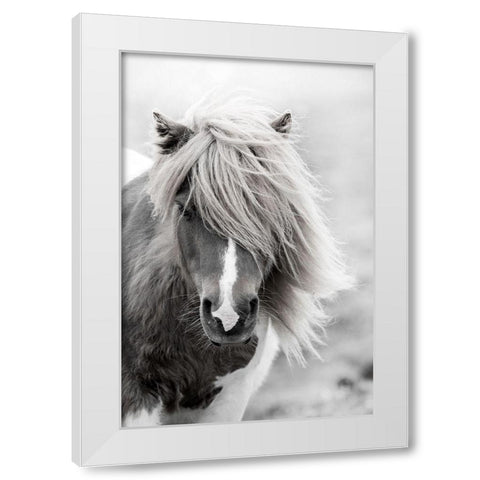 Shetland Summer White Modern Wood Framed Art Print by Zwick, Martin