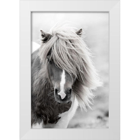 Shetland Summer White Modern Wood Framed Art Print by Zwick, Martin