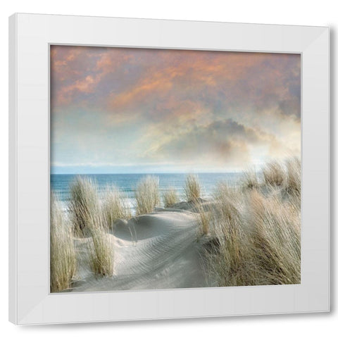Windswept I White Modern Wood Framed Art Print by Calascibetta, Mike
