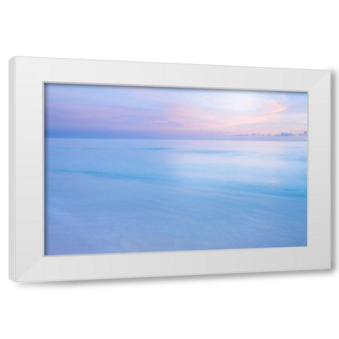 Midway Atoll White Modern Wood Framed Art Print by Delimont, Danita