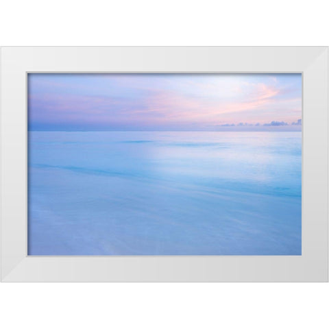 Midway Atoll White Modern Wood Framed Art Print by Delimont, Danita