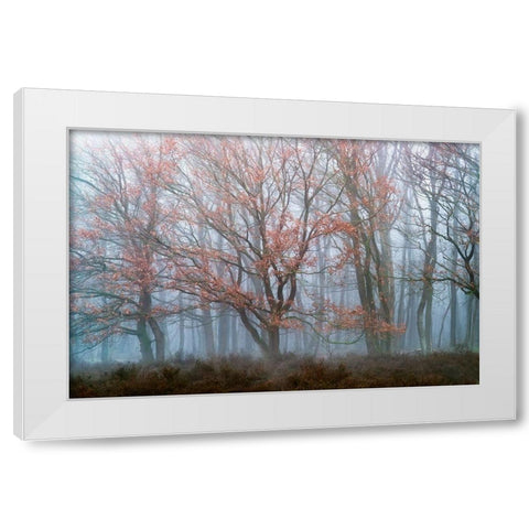 Misty Contrasts White Modern Wood Framed Art Print by Van de Goor, Lars