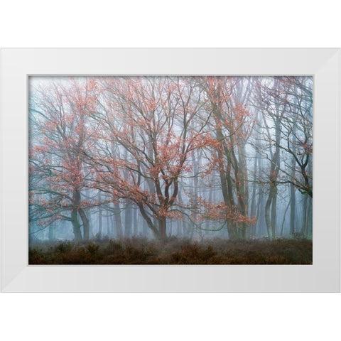 Misty Contrasts White Modern Wood Framed Art Print by Van de Goor, Lars