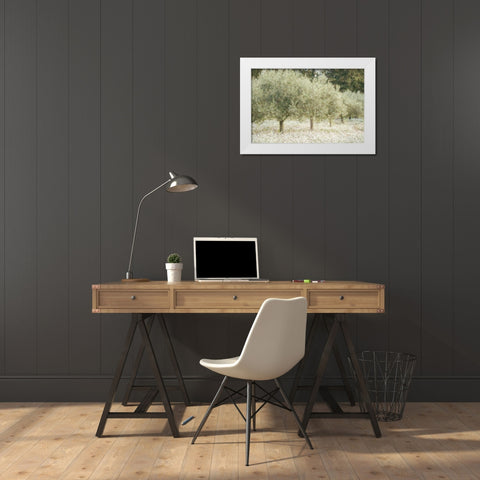 Paintograph Olive Trees White Modern Wood Framed Art Print by Van de Goor, Lars
