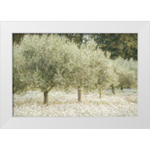Paintograph Olive Trees White Modern Wood Framed Art Print by Van de Goor, Lars