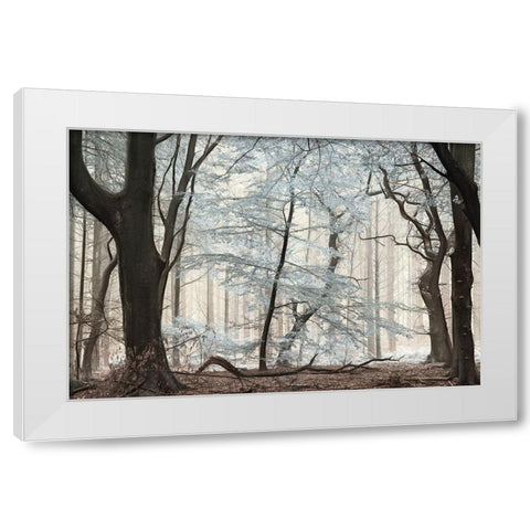 Silverwood White Modern Wood Framed Art Print by Van de Goor, Lars