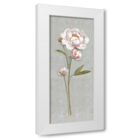 Peony Magic I White Modern Wood Framed Art Print by Swatland, Sally