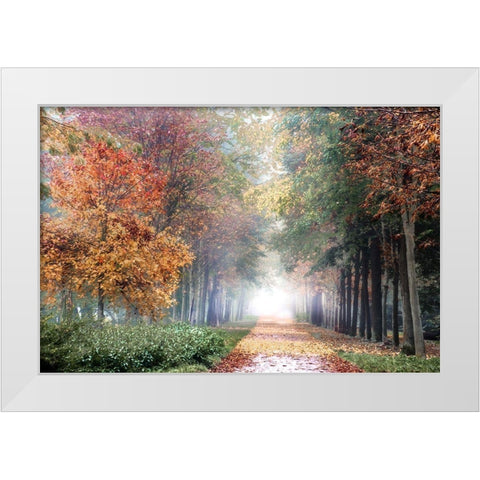 Breath White Modern Wood Framed Art Print by Weisz, Irene