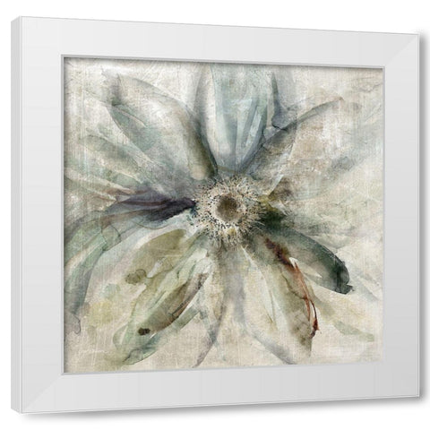 Floral Drama White Modern Wood Framed Art Print by Robinson, Carol
