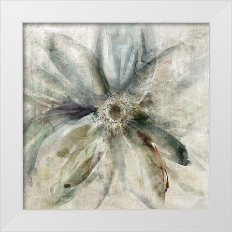 Floral Drama White Modern Wood Framed Art Print by Robinson, Carol