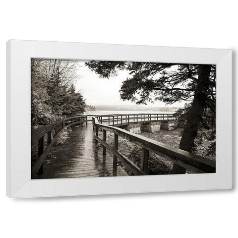 Nova Scotia White Modern Wood Framed Art Print by Wilt, Kymri