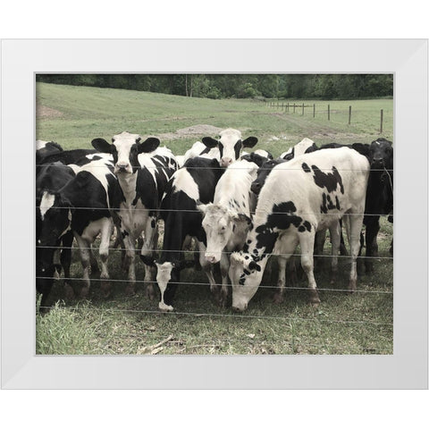 Mooove Over White Modern Wood Framed Art Print by Nan