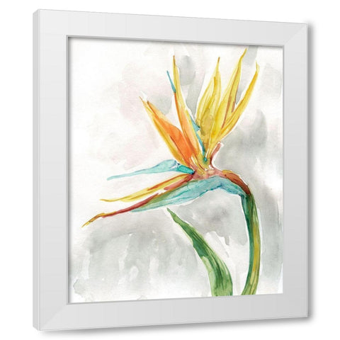 Bird of Paradise II White Modern Wood Framed Art Print by Robinson, Carol