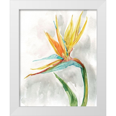 Bird of Paradise II White Modern Wood Framed Art Print by Robinson, Carol