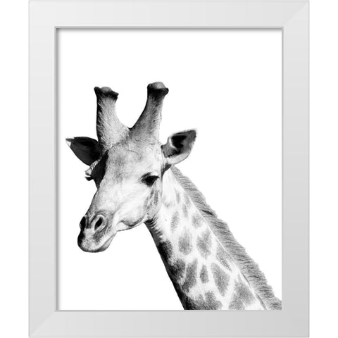 Safari Giraffe White Modern Wood Framed Art Print by Hopkins, Cindy Miller