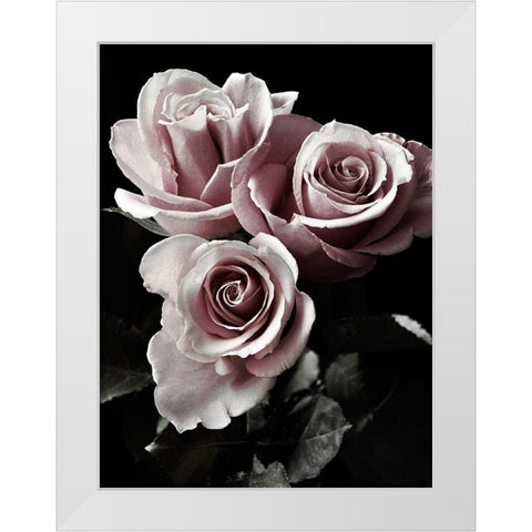 Rose Noir I White Modern Wood Framed Art Print by Miller, Anna