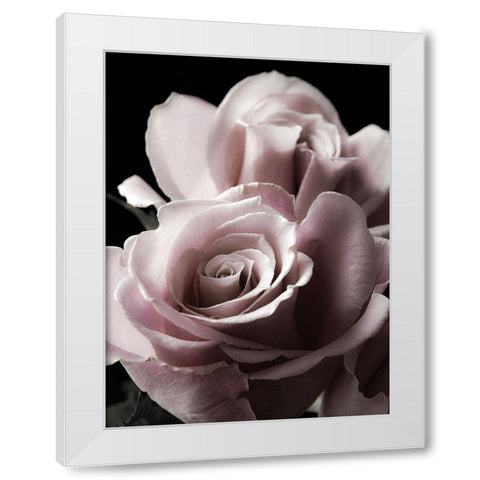 Rose Noir II White Modern Wood Framed Art Print by Miller, Anna