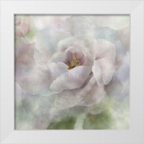 Dreamy Peony White Modern Wood Framed Art Print by Nan