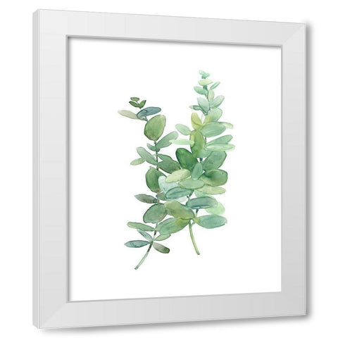 Eucalyptus I White Modern Wood Framed Art Print by Robinson, Carol