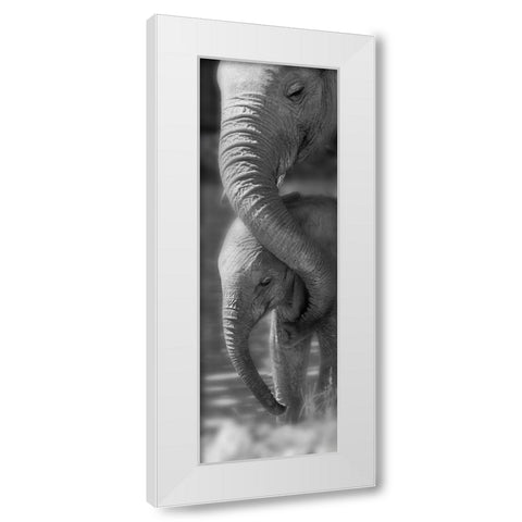 Morning Moment White Modern Wood Framed Art Print by Westmorland, Michele