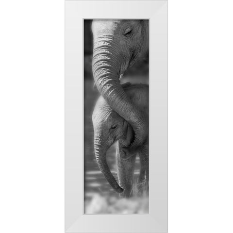 Morning Moment White Modern Wood Framed Art Print by Westmorland, Michele
