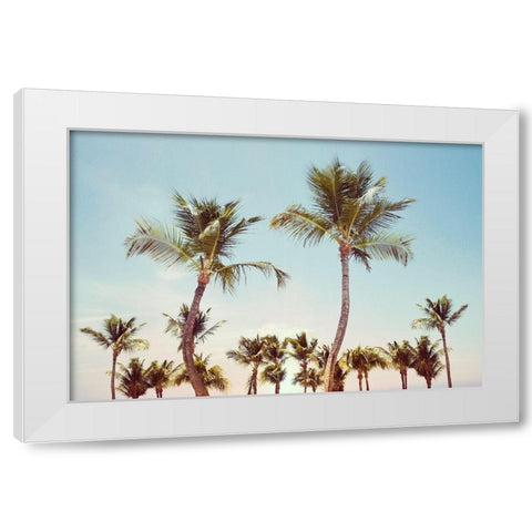 Aruba Palm White Modern Wood Framed Art Print by Carpentieri, Natalie