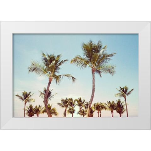 Aruba Palm White Modern Wood Framed Art Print by Carpentieri, Natalie