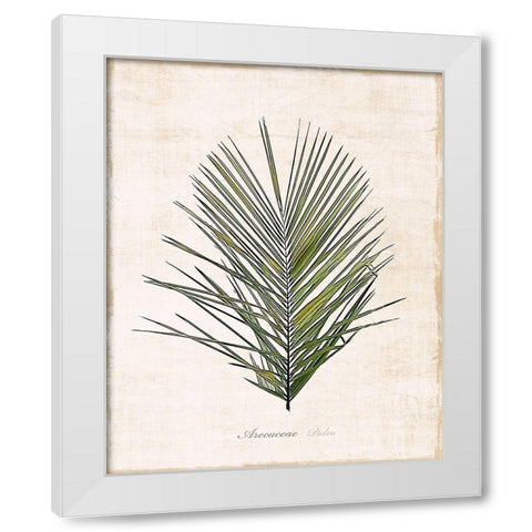 Palm Botanical I White Modern Wood Framed Art Print by Carpentieri, Natalie