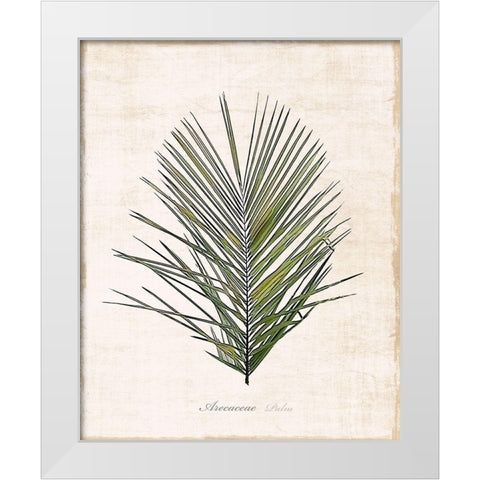 Palm Botanical I White Modern Wood Framed Art Print by Carpentieri, Natalie