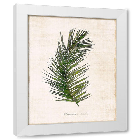 Palm Botanical II White Modern Wood Framed Art Print by Carpentieri, Natalie