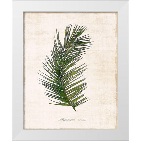 Palm Botanical II White Modern Wood Framed Art Print by Carpentieri, Natalie