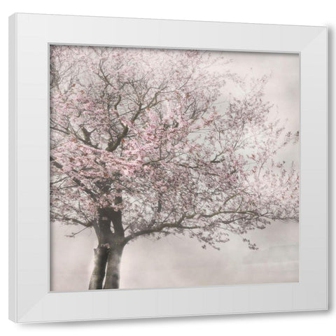 Blush in the Wind I White Modern Wood Framed Art Print by Weisz, Irene