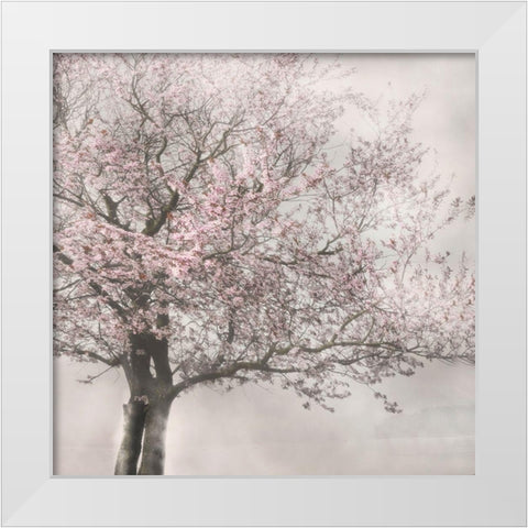 Blush in the Wind I White Modern Wood Framed Art Print by Weisz, Irene