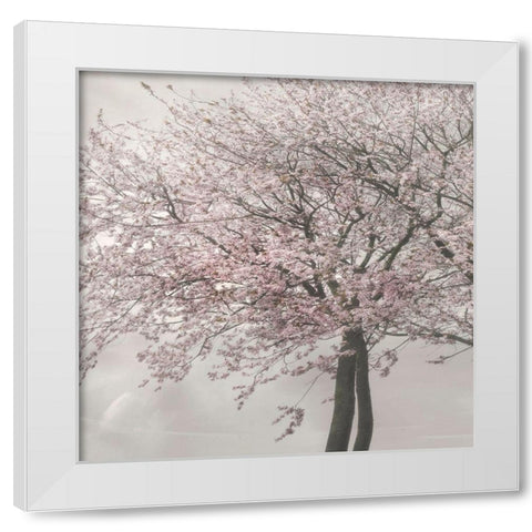 Blush in the Wind II White Modern Wood Framed Art Print by Weisz, Irene