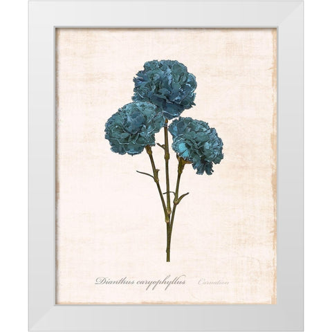 Sketchbook Carnation White Modern Wood Framed Art Print by Carpentieri, Natalie