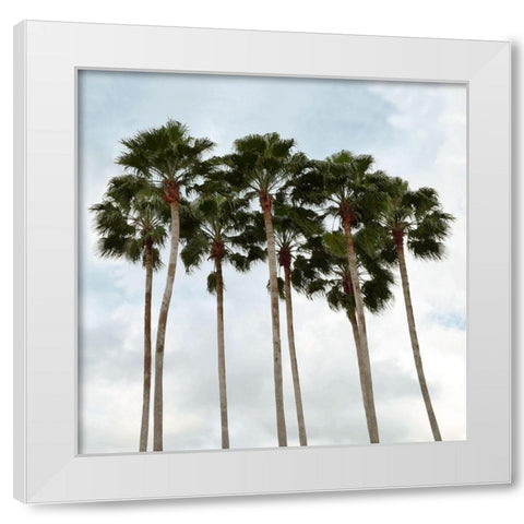 Surfs Up White Modern Wood Framed Art Print by Carpentieri, Natalie