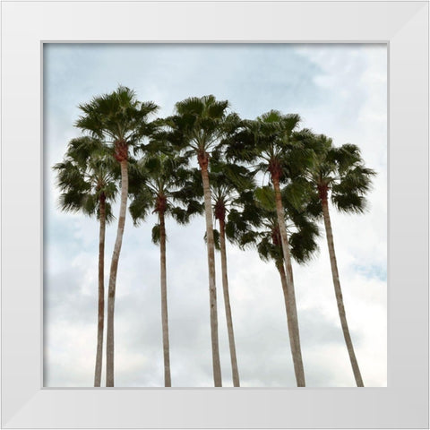 Surfs Up White Modern Wood Framed Art Print by Carpentieri, Natalie