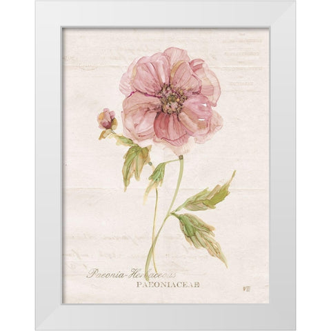 Soft Peony White Modern Wood Framed Art Print by Robinson, Carol