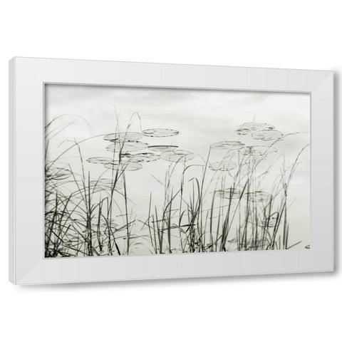 Silver Lake Lilies White Modern Wood Framed Art Print by Monkman, Jerry and Marcy