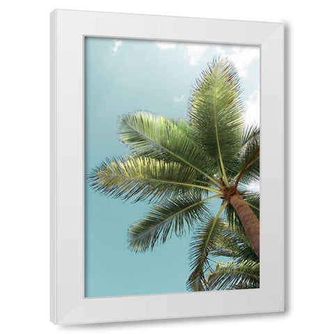 Palm Verde White Modern Wood Framed Art Print by Monkman, Jerry and Marcy