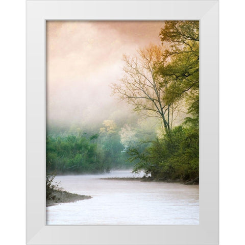 Beguiled White Modern Wood Framed Art Print by Klass, Raymond