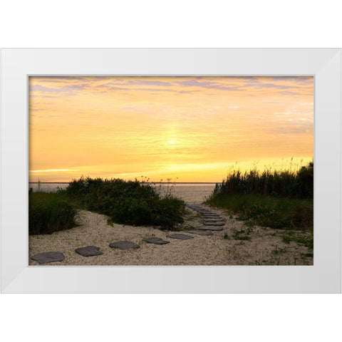 Sunset Path White Modern Wood Framed Art Print by Carpentieri, Natalie