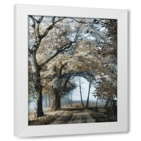 Road to Tomorrow White Modern Wood Framed Art Print by Van de Goor, Lars