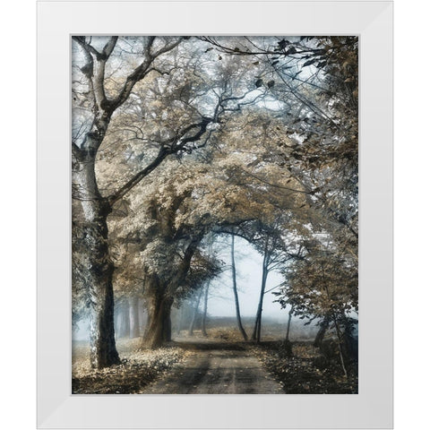 Road to Tomorrow White Modern Wood Framed Art Print by Van de Goor, Lars