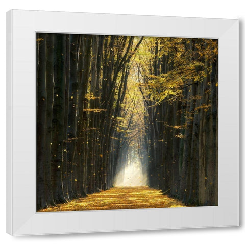 Fall Kicks In White Modern Wood Framed Art Print by Van de Goor, Lars