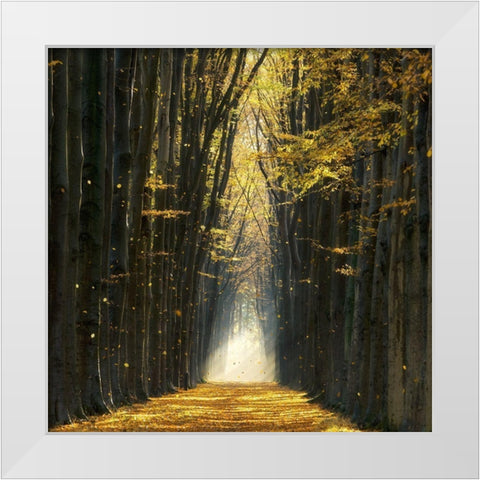 Fall Kicks In White Modern Wood Framed Art Print by Van de Goor, Lars