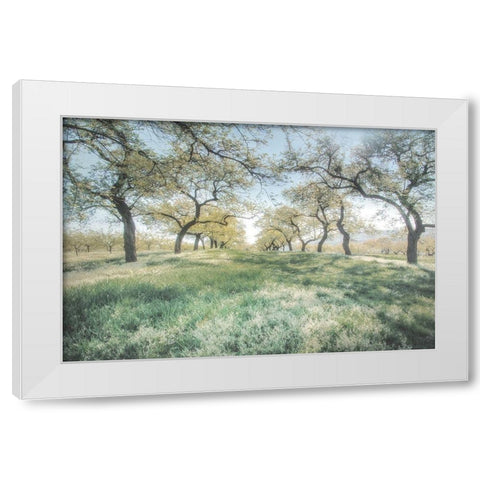 Charming Spring Mood White Modern Wood Framed Art Print by Weisz, Irene