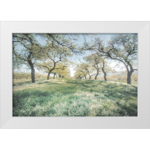 Charming Spring Mood White Modern Wood Framed Art Print by Weisz, Irene