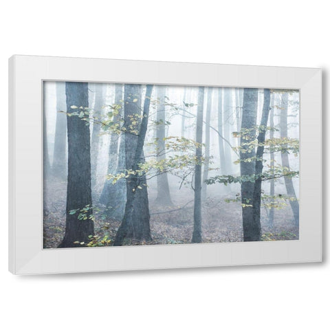 Chalky Misty White Modern Wood Framed Art Print by Weisz, Irene